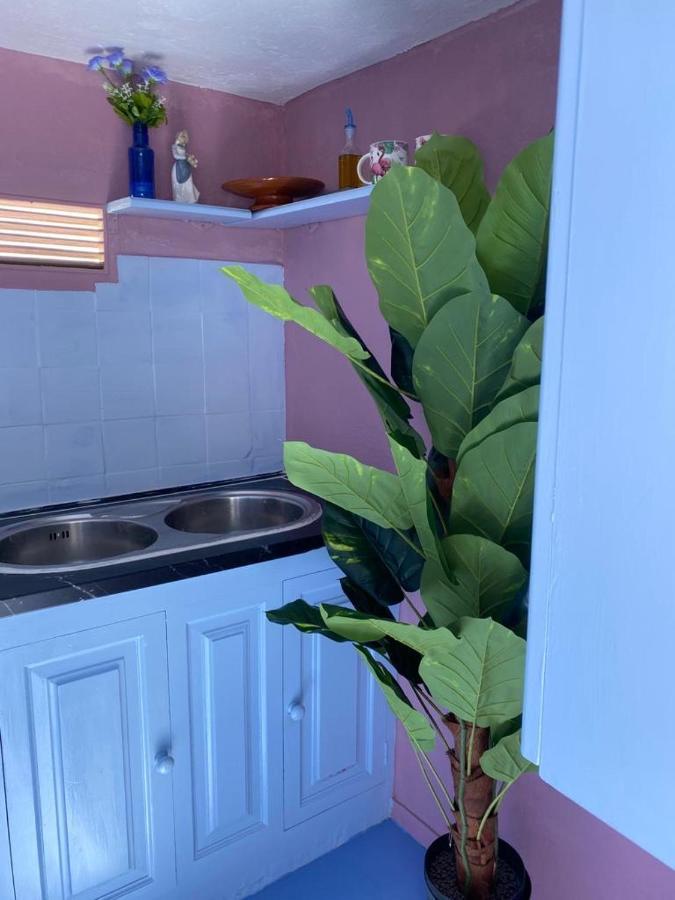 Eterna Primavera, A 40M De La Piscina Natural Punta Mujeres Extérieur photo